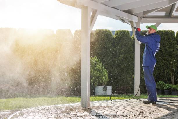 Best Roof Washing  in Saylorville, IA